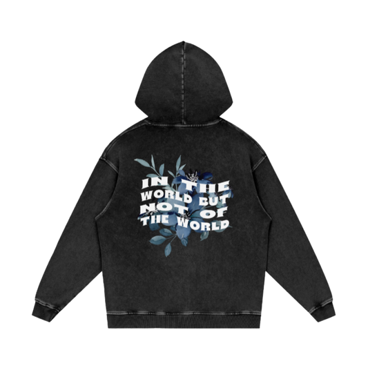 In the world but not of the world / Snow Washed Loose Cotton Hoodie