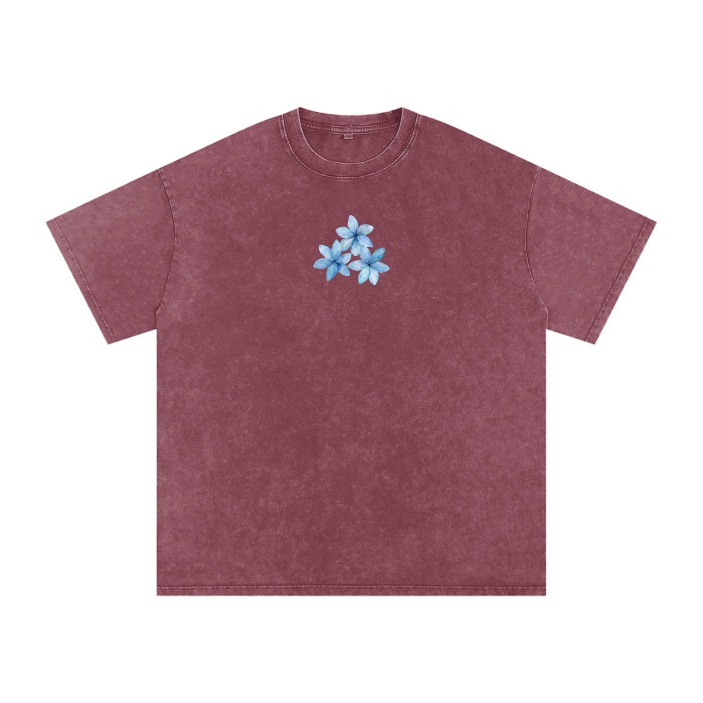 In the world but not of the world / Snow Washed Oversized Cotton T-Shirt
